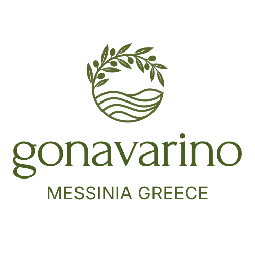 Private Tours by Locals in Messinia Greece | Boat Experiences | Trips from Athens to Navarino