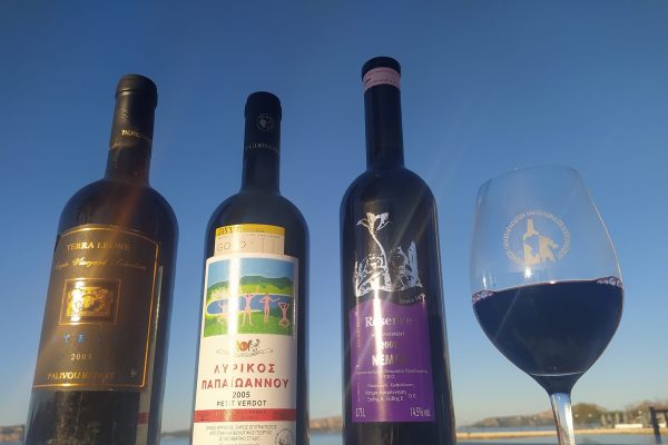 wine tasting