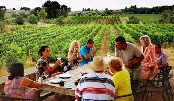 wine tasting dereskos